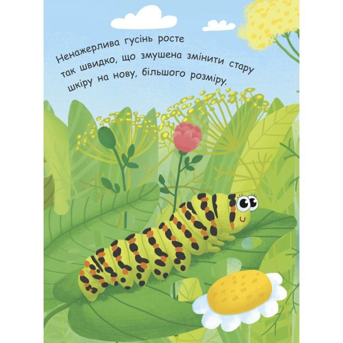 Книга Як народжується метелик? Моя перша енциклопедія - Інна Конопленко Ранок (9789667488352) изображение 3