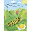 Книга Як народжується метелик? Моя перша енциклопедія - Інна Конопленко Ранок (9789667488352) изображение 3