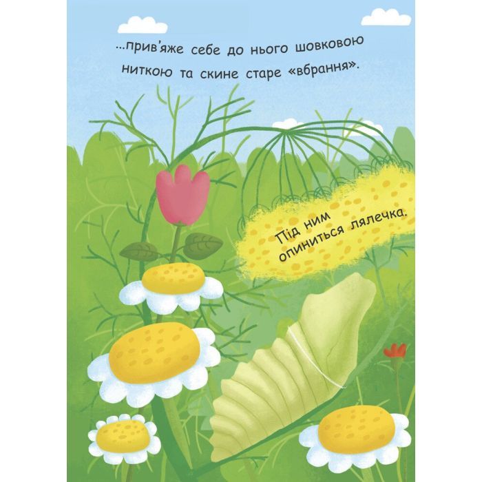Книга Як народжується метелик? Моя перша енциклопедія - Інна Конопленко Ранок (9789667488352) изображение 5