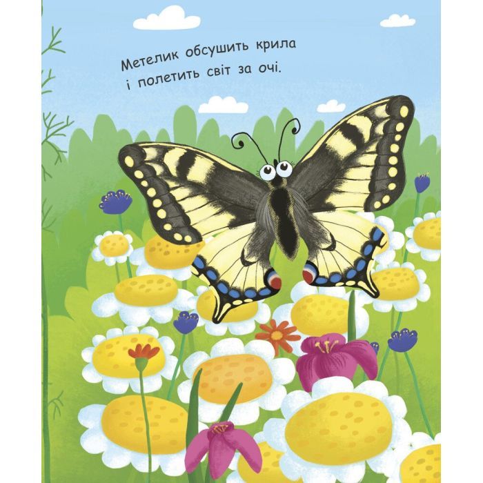 Книга Як народжується метелик? Моя перша енциклопедія - Інна Конопленко Ранок (9789667488352) изображение 7