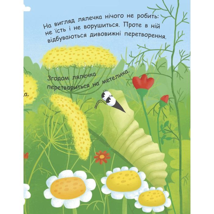 Книга Як народжується метелик? Моя перша енциклопедія - Інна Конопленко Ранок (9789667488352) изображение 7