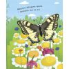Книга Як народжується метелик? Моя перша енциклопедія - Інна Конопленко Ранок (9789667488352) изображение 7