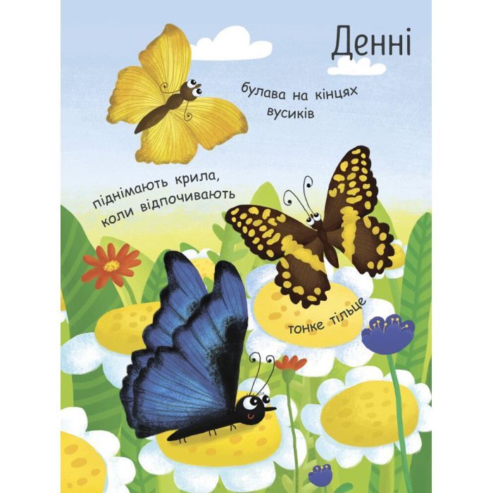 Книга Як народжується метелик? Моя перша енциклопедія - Інна Конопленко Ранок (9789667488352) изображение 8