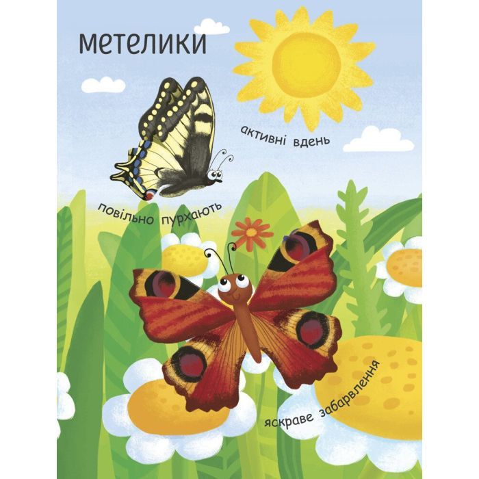 Книга Як народжується метелик? Моя перша енциклопедія - Інна Конопленко Ранок (9789667488352) изображение 9