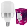 Лампочка ELM TOR 100W PA20S E40 6500 (18-0198)