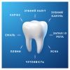 Зубная паста Oral-B Pro-Expert Бережное отбеливание 75 мл (8006530090537) изображение 6
