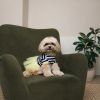 Сукня для тварин Pet Fashion Liana S (4823082445967) зображення 3