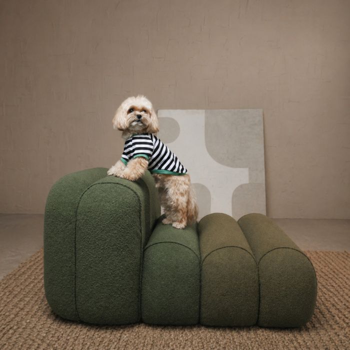 Футболка для тварин Pet Fashion Breeze XS2 (4823082445820) зображення 5