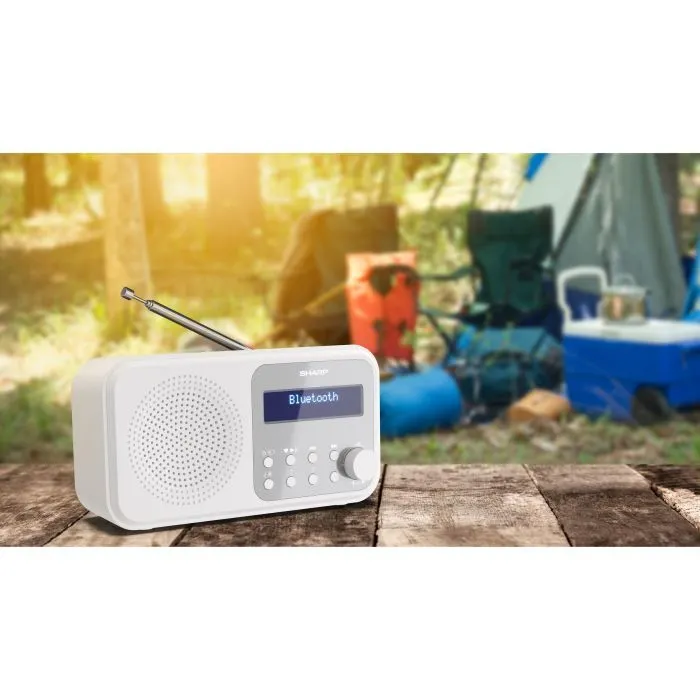 Портативний радіоприймач Sharp DR-P420 White (DR-P420WH) зображення 10