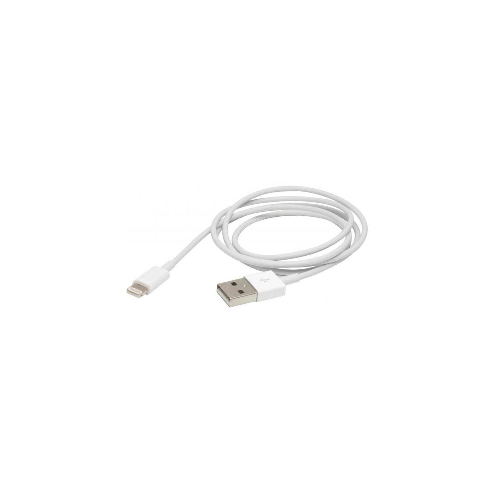 Дата кабель USB 2.0 AM to Lightning 1.0m PowerPlant (DV00DV4042) зображення 2