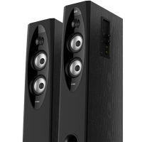 Акустическая система F&D T-60X Black изображение 2