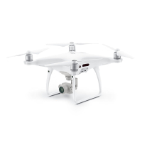 Квадрокоптер DJI Phantom 4 Pro (CP.PT.000486)
