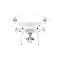 Квадрокоптер DJI Phantom 4 Pro (CP.PT.000486) изображение 4