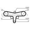 Ремінь ГРМ CONTITECH CT1117 зображення 2