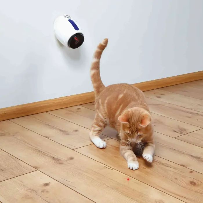 Игрушка для кошек Trixie Указка лазерная Moving Light 11 см (4011905413112) изображение 2
