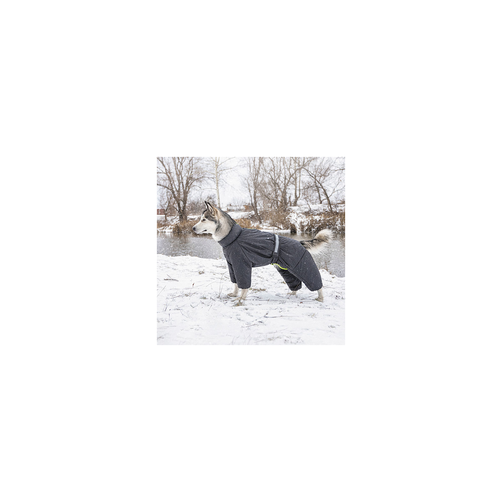 Комбинезон для животных Pet Fashion "COLD" S (серый) (4823082426256) изображение 5