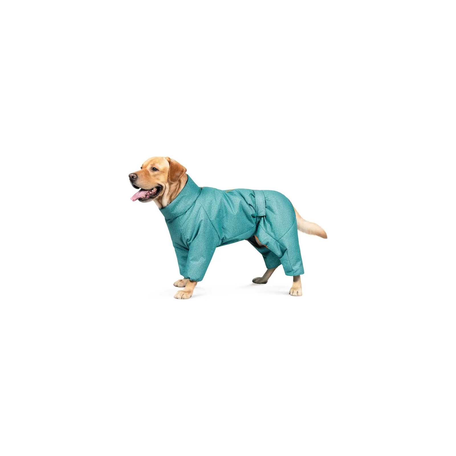 Комбінезон для тварин Pet Fashion «Cold» для такс XS (бірюзовий) (4823082425365) зображення 3