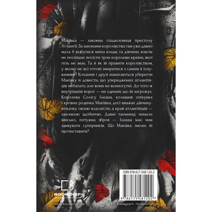 Книга Кров і попіл: Корона з позолочених кісток - Дженніфер Л. Арментраут BookChef (9786175481202) зображення 3