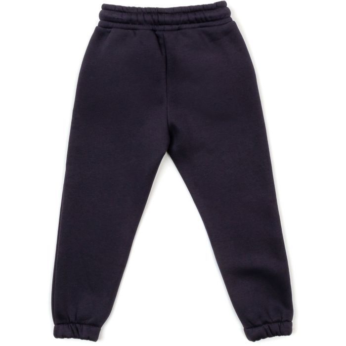 Штани дитячі Cloise спортивні флісові (CL0155017-128-gray) зображення 2