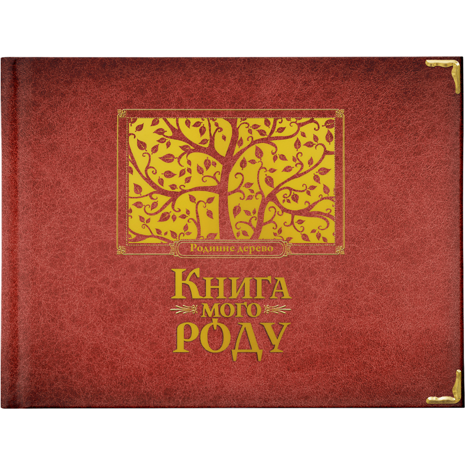 Книга Книга мого роду. Родинне дерево - Ірина Мацко Видавництво Старого Лева (9789662909890)