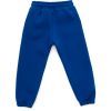 Штаны детские Cloise спортивные флисовые (CL0154024-128G-blue) изображение 2