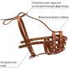 Намордник для собак Collar твердый (ротвейлер большой) коричневый (06196) изображение 4