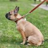 Ошейник для животных WAUDOG Soft с QR паспортом S коричневый (7191) изображение 2