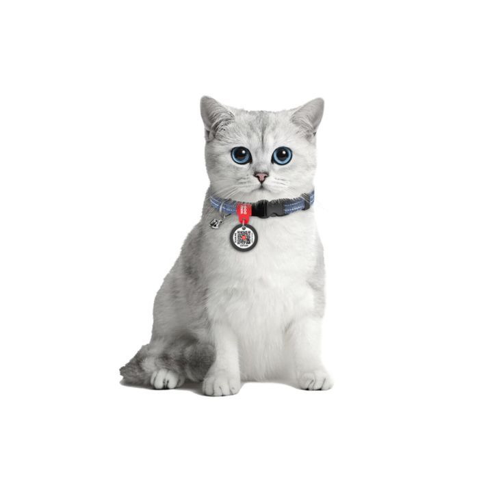 Ошейник для животных WAUDOG Re-cotton с QR паспортом, пластиковый фастекс XS оранжевый (16424) изображение 3