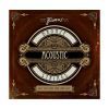 Струны для гитары Framus Bronze Light (11-47) (48200 L)