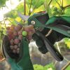 Секатор Bosch EasyPrune, 3.6В, до 25мм, 0.49кг (0.600.8B2.102) зображення 8