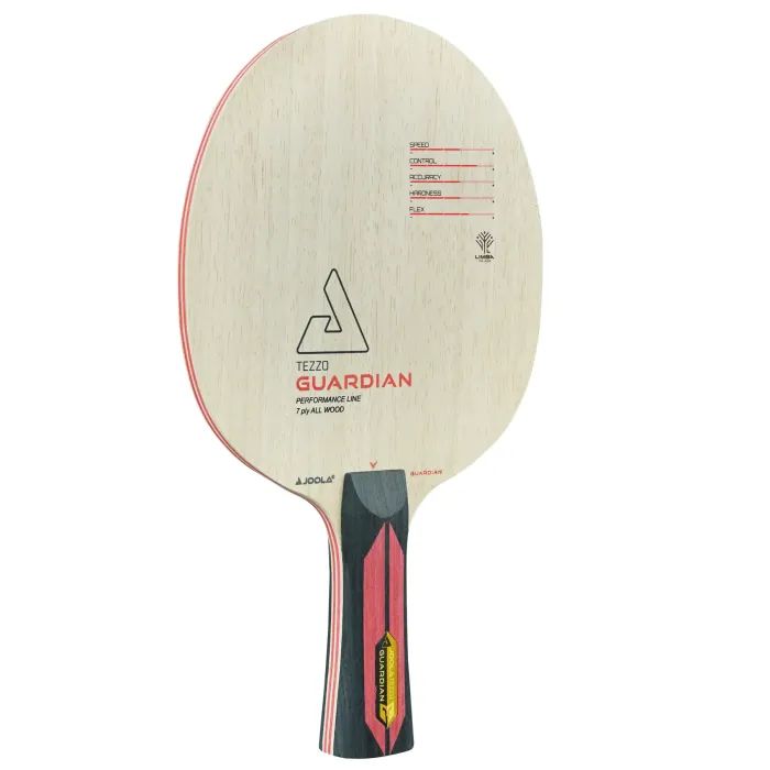 Основание для ракетки Joola Tezzo Guardian FL (61204) (930971) изображение 2