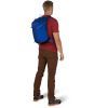 Рюкзак туристичний Osprey Sportlite 20 pine leaf green - O/S - зелений (009.3047) зображення 5