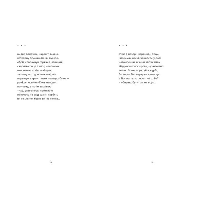 Книга Докричатися до живих - Любомир Стринаглюк Видавництво Старого Лева (9789664484890) зображення 6