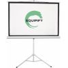 Проекционный экран Equipify ESDC100