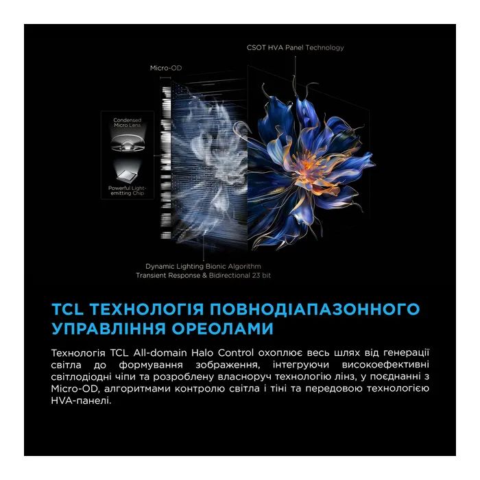 Телевізор TCL 55C6K зображення 9