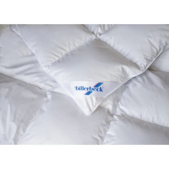 Ковдра Biederlack пухова касетна Діана К2 172х205 см (0590-32/02) зображення 3