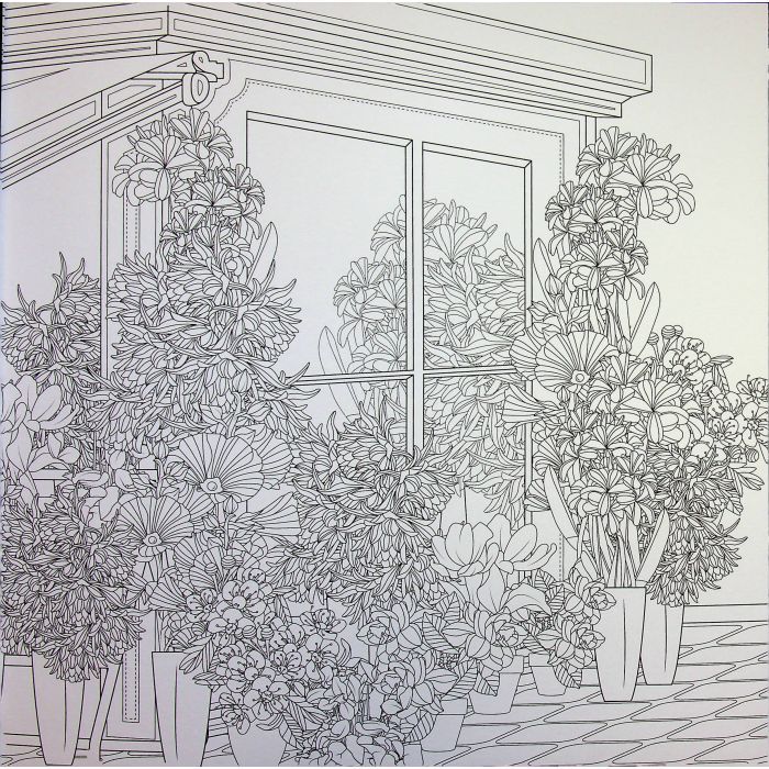 Книга Міські джунглі - Сара Муціо Жорж (9786178287214) изображение 10