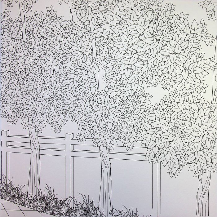 Книга Міські джунглі - Сара Муціо Жорж (9786178287214) изображение 12