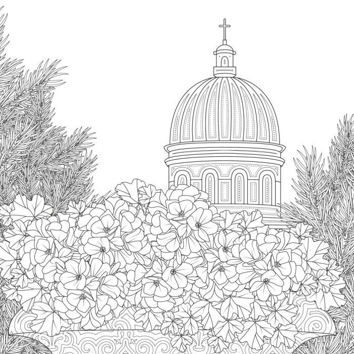 Книга Міські джунглі - Сара Муціо Жорж (9786178287214) изображение 5