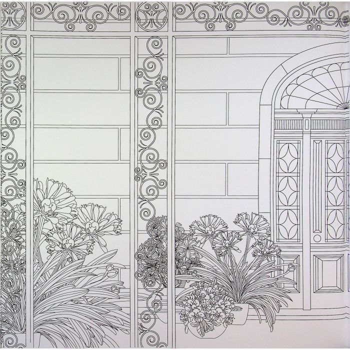 Книга Міські джунглі - Сара Муціо Жорж (9786178287214) изображение 7