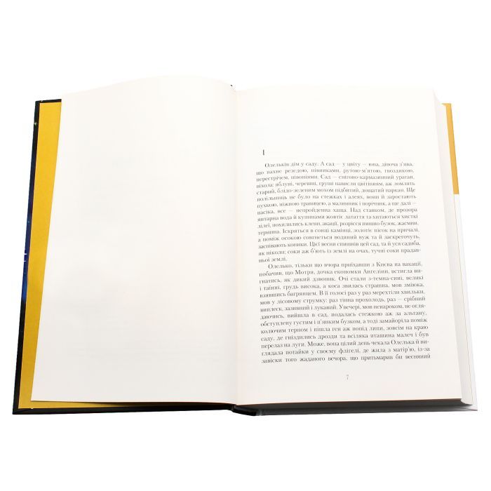 Книга Сузіря лебедя - Юрій Косач А-ба-ба-га-ла-ма-га (9786175851289) изображение 4