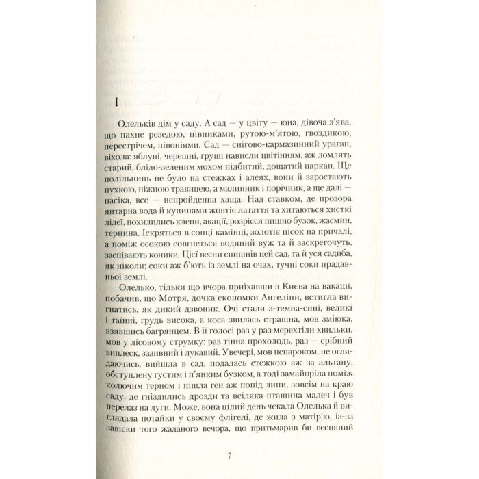 Книга Сузіря лебедя - Юрій Косач А-ба-ба-га-ла-ма-га (9786175851289) изображение 8