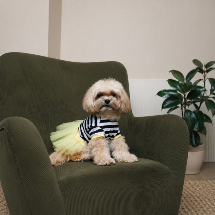 Сукня для тварин Pet Fashion Liana XS (4823082445905) зображення 3