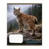 Зошит 1 вересня Into the wild А5 48 аркушів клітинка (769130) зображення 6