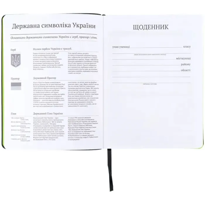 Дневник школьный Kite Next level, мягкая обложка (K26-283-2) изображение 4