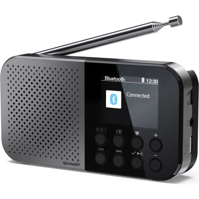 Портативний радіоприймач Sharp DR-P520 Grey (DR-P520GY)