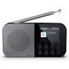 Портативний радіоприймач Sharp DR-P520 Grey (DR-P520GY) зображення 2