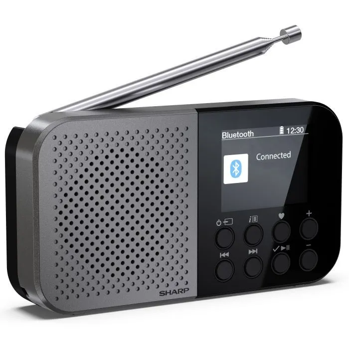 Портативний радіоприймач Sharp DR-P520 Grey (DR-P520GY) зображення 3