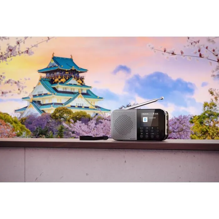 Портативний радіоприймач Sharp DR-P520 Grey (DR-P520GY) зображення 9