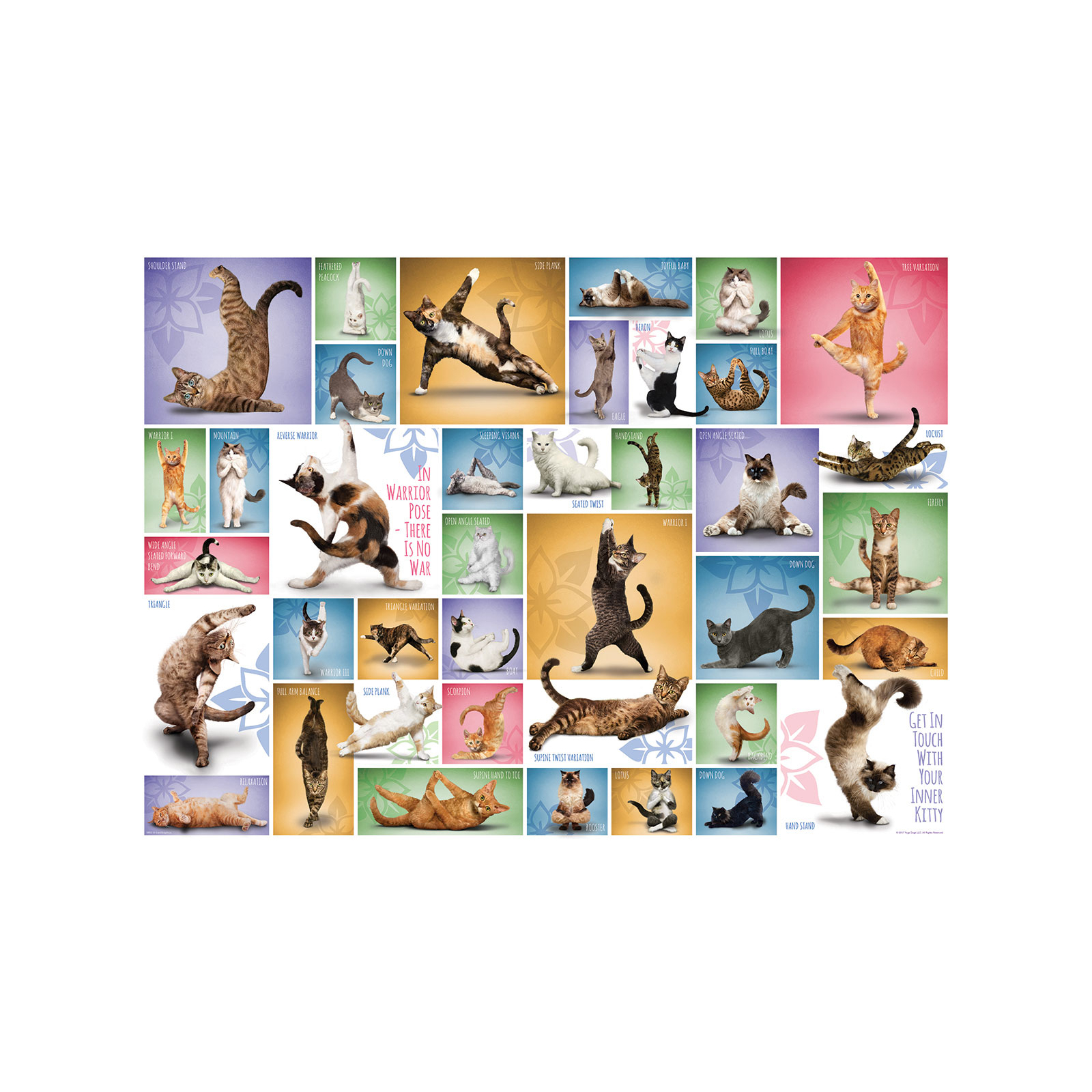 Пазл Eurographics Йога Кішки 1000 елементів (6000-0953) зображення 3